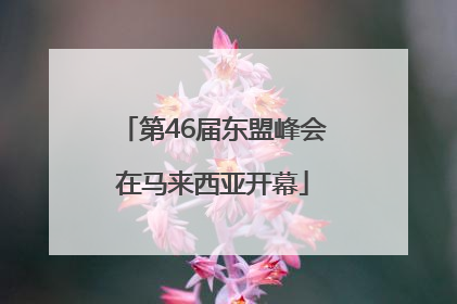 第46届东盟峰会在马来西亚开幕