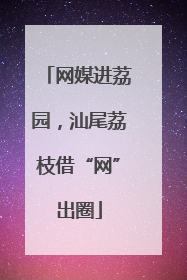 网媒进荔园，汕尾荔枝借“网”出圈
