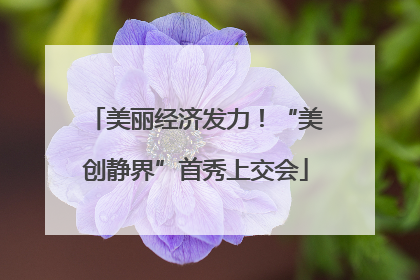 美丽经济发力！“美创静界”首秀上交会
