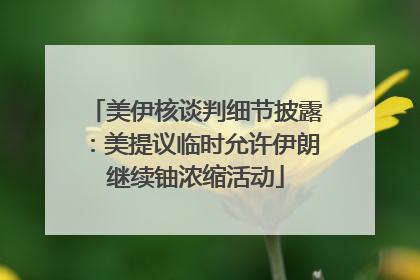 美伊核谈判细节披露：美提议临时允许伊朗继续铀浓缩活动