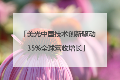 美光中国技术创新驱动35%全球营收增长