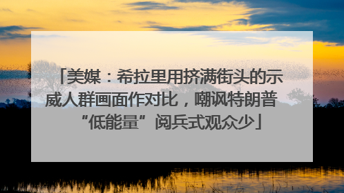 美媒：希拉里用挤满街头的示威人群画面作对比，嘲讽特朗普“低能量”阅兵式观众少