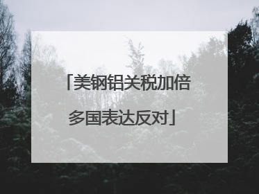 美钢铝关税加倍 多国表达反对