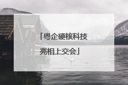 粤企硬核科技亮相上交会