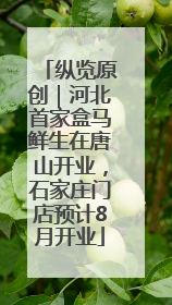 纵览原创｜河北首家盒马鲜生在唐山开业，石家庄门店预计8月开业