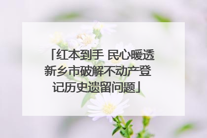 红本到手 民心暖透 新乡市破解不动产登记历史遗留问题