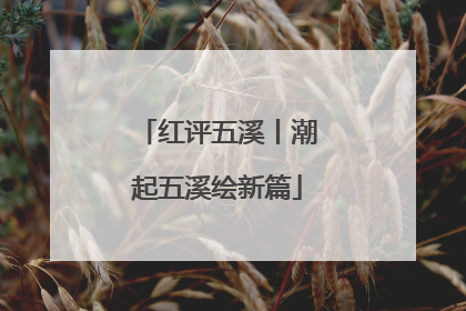 红评五溪丨潮起五溪绘新篇