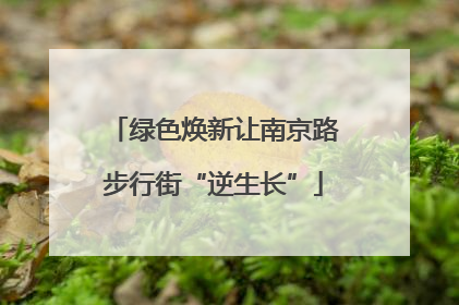 绿色焕新让南京路步行街“逆生长”