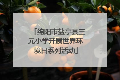 绵阳市盐亭县三元小学开展世界环境日系列活动