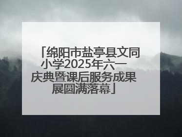 绵阳市盐亭县文同小学2025年六一庆典暨课后服务成果展圆满落幕