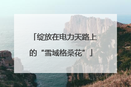 绽放在电力天路上的“雪域格桑花”