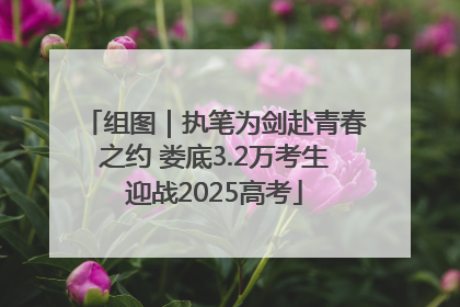 组图｜执笔为剑赴青春之约 娄底3.2万考生迎战2025高考