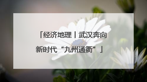 经济地理丨武汉奔向新时代“九州通衢”