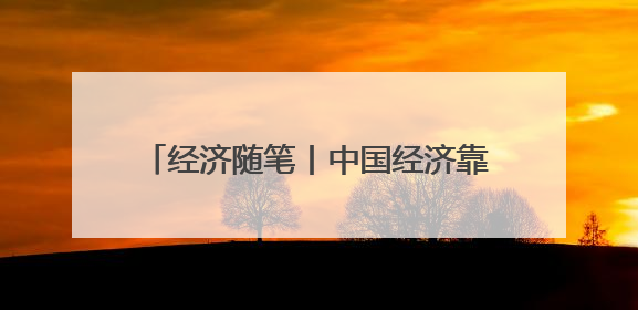 经济随笔丨中国经济靠什么“顶住了压力”？