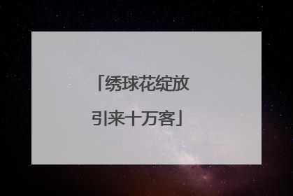 绣球花绽放 引来十万客