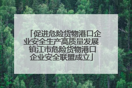 促进危险货物港口企业安全生产高质量发展 镇江市危险货物港口企业安全联盟成立