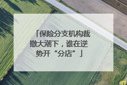 保险分支机构裁撤大潮下，谁在逆势开“分店”