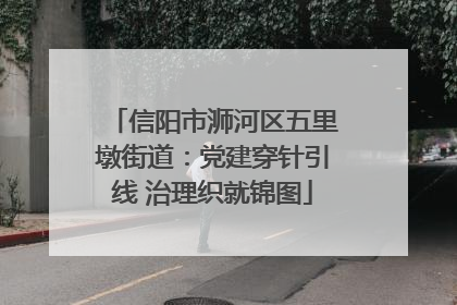 信阳市浉河区五里墩街道：党建穿针引线 治理织就锦图
