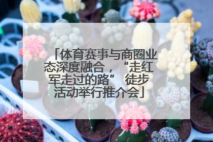 体育赛事与商圈业态深度融合，“走红军走过的路” 徒步活动举行推介会