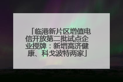 临港新片区增值电信开放第二批试点企业授牌：新增高济健康、科戈波特两家