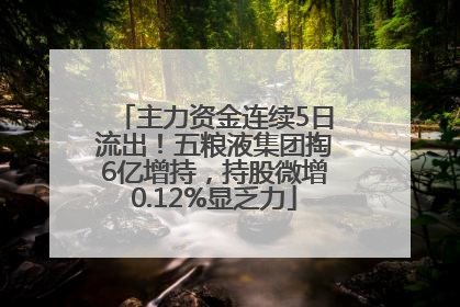 主力资金连续5日流出！五粮液集团掏6亿增持，持股微增0.12%显乏力