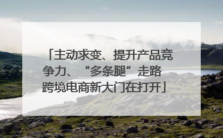 主动求变、提升产品竞争力、“多条腿”走路 跨境电商新大门在打开