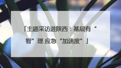 主题采访进陕西：基层有“智”理 应急“加速度”