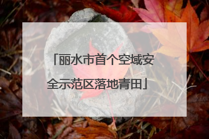 丽水市首个空域安全示范区落地青田