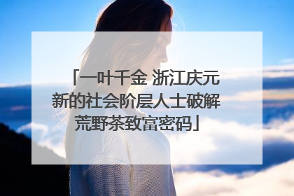 一叶千金 浙江庆元新的社会阶层人士破解荒野茶致富密码