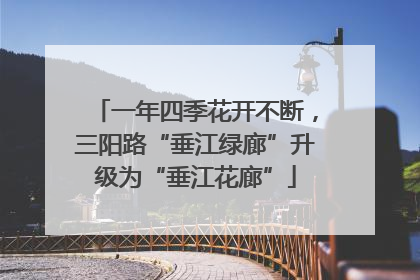 一年四季花开不断，三阳路“垂江绿廊”升级为“垂江花廊”