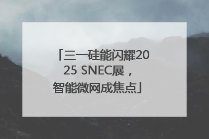 三一硅能闪耀2025 SNEC展，智能微网成焦点