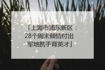 上海市浦东新区：28个周末倾情付出 军地携手育英才