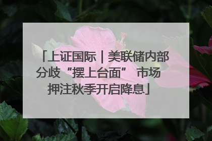 上证国际｜美联储内部分歧“摆上台面” 市场押注秋季开启降息