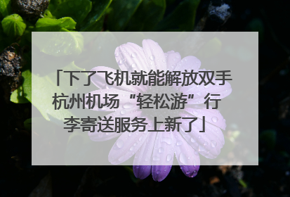 下了飞机就能解放双手 杭州机场“轻松游”行李寄送服务上新了