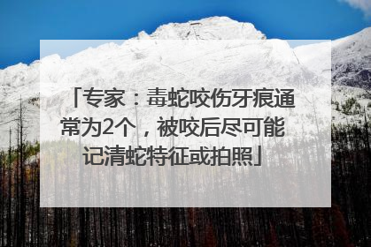 专家：毒蛇咬伤牙痕通常为2个，被咬后尽可能记清蛇特征或拍照