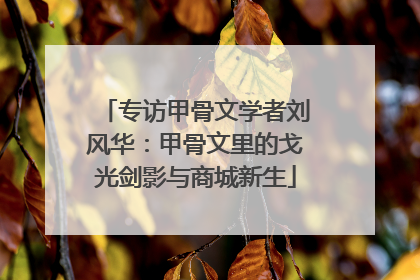 专访甲骨文学者刘风华：甲骨文里的戈光剑影与商城新生