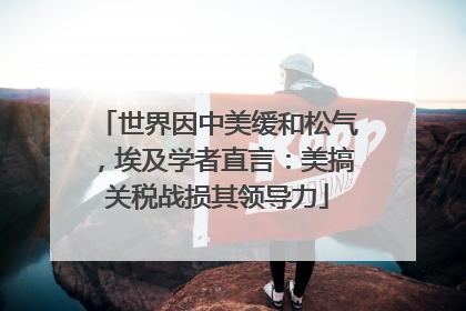 世界因中美缓和松气，埃及学者直言：美搞关税战损其领导力