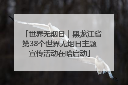 世界无烟日｜黑龙江省第38个世界无烟日主题宣传活动在哈启动