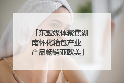 东盟媒体聚焦湖南怀化箱包产业 产品畅销亚欧美