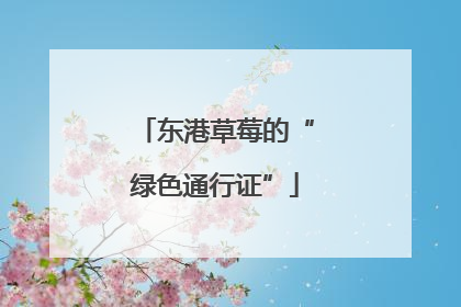 东港草莓的“绿色通行证”