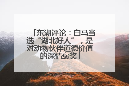 东湖评论：白马当选“湖北好人”，是对动物伙伴道德价值的深情褒奖