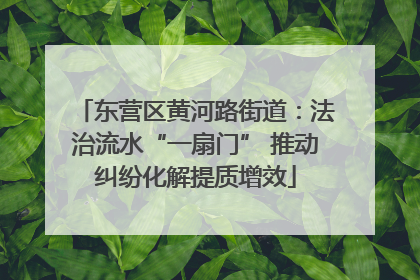 东营区黄河路街道：法治流水“一扇门” 推动纠纷化解提质增效