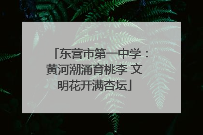 东营市第一中学：黄河潮涌育桃李 文明花开满杏坛