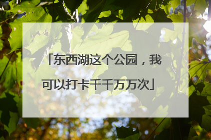 东西湖这个公园，我可以打卡千千万万次