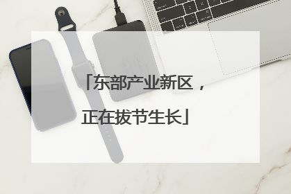 东部产业新区，正在拔节生长