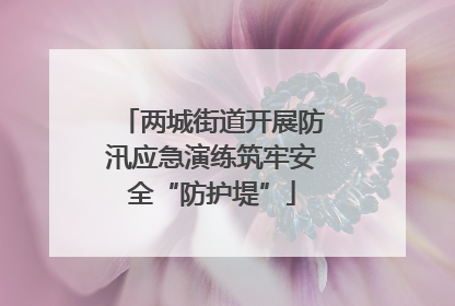 两城街道开展防汛应急演练筑牢安全“防护堤”