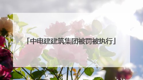 中电建建筑集团被罚被执行