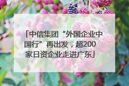 中信集团“外国企业中国行”再出发，超200家日资企业走进广东