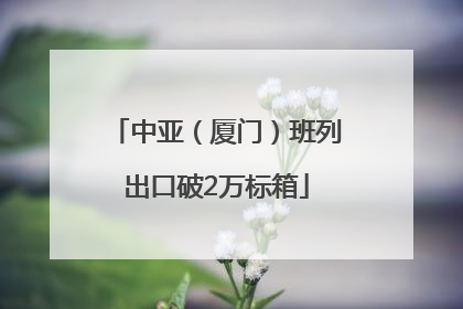 中亚（厦门）班列出口破2万标箱