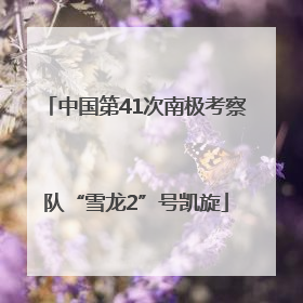 中国第41次南极考察队“雪龙2”号凯旋
